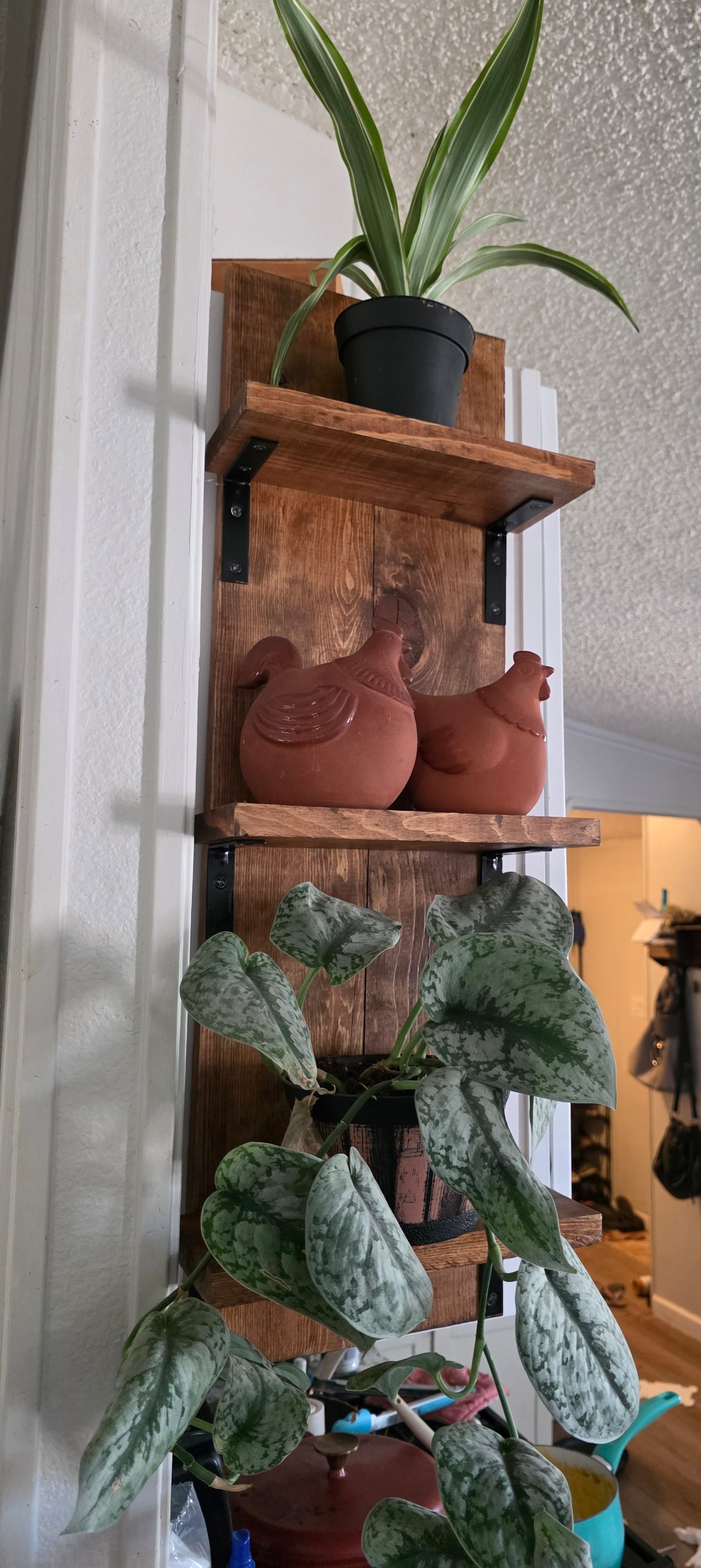 Cabinet Shelf