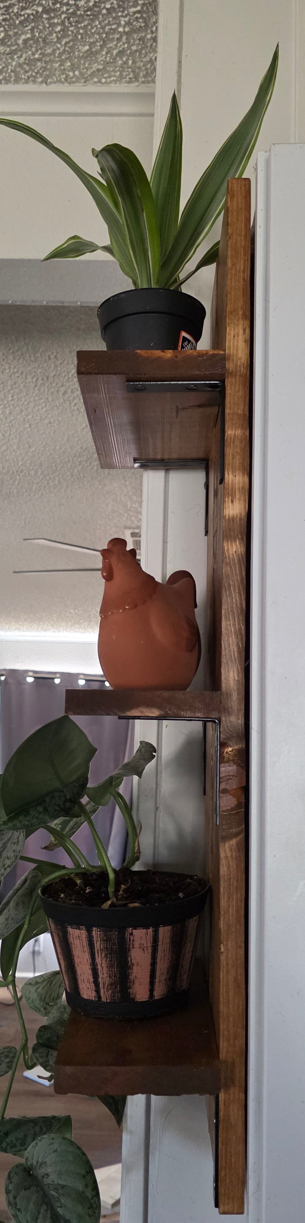 Cabinet Shelf