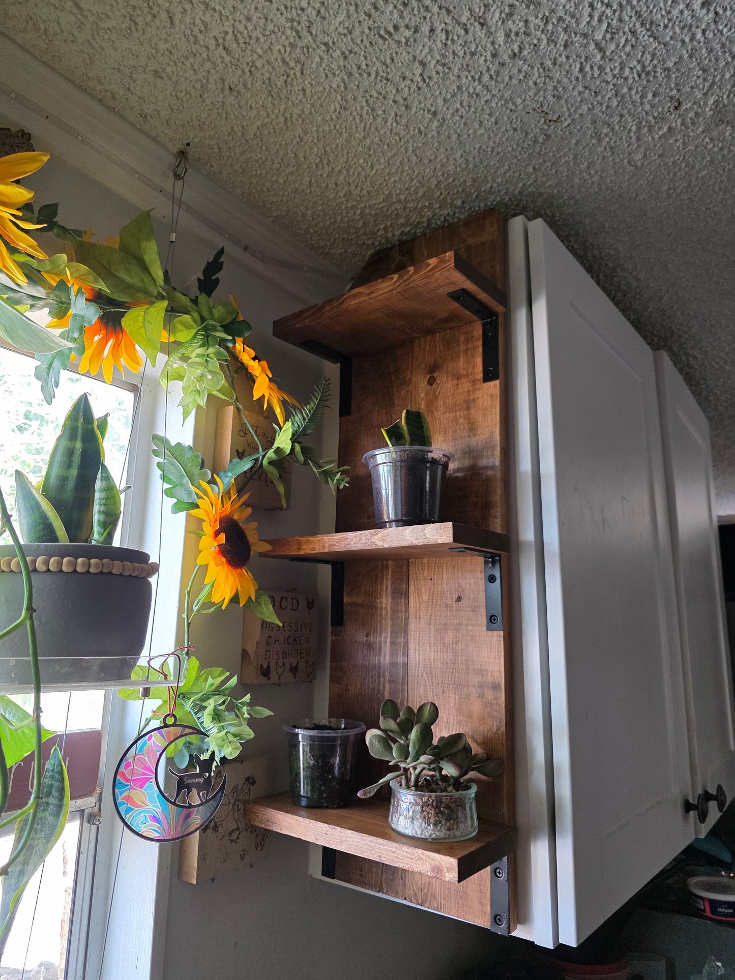 Cabinet Shelf